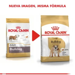 Royal Canin Específicos Para Razas^Bulldog Ingles Adulto 12kg