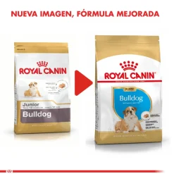 Royal Canin Específicos Para Razas^Bulldog Ingles Junior 12kg