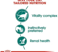 Royal Canin Húmedos^Cat 7+ Pouch 85gr x 12 unidades