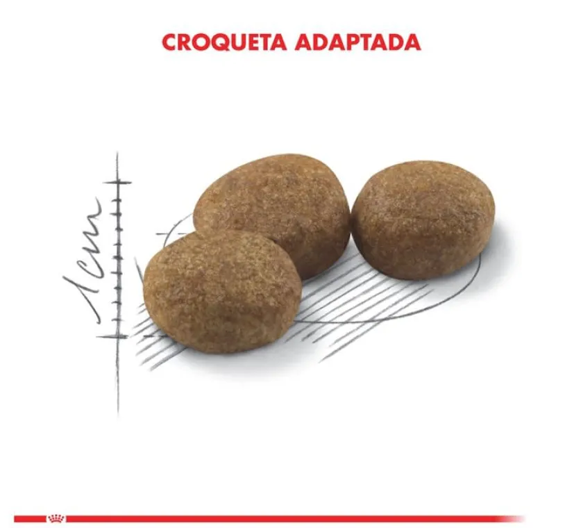 Royal Canin Castrados | Adultos (1 A 7 Años)^Cat Adult Sterilised 400gr