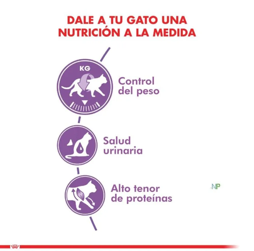 Royal Canin Castrados^Cat Adult Sterilised 4kg