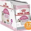 Royal Canin Gatitos (0 A 12 Meses)^Cat Kitten Pouch 85gr X 12 unidades
