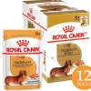Royal Canin Específicos Para Razas^Dachshund Pouch 85gr x 12 unidades