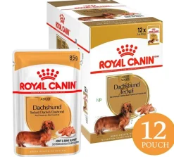 Royal Canin Específicos Para Razas^Dachshund Pouch 85gr x 12 unidades