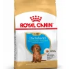 Royal Canin Específicos Para Razas^Dachshund Teckel Junior 3kg