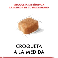 Royal Canin Específicos Para Razas^Dachshund Teckel 7.5kg
