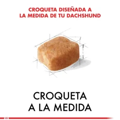 Royal Canin Específicos Para Razas^Dachshund Teckel 2.5kg
