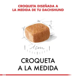 Royal Canin Específicos Para Razas^Dachshund Teckel Junior 3kg