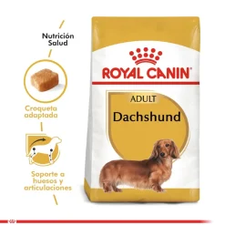 Royal Canin Específicos Para Razas^Dachshund Teckel 7.5kg