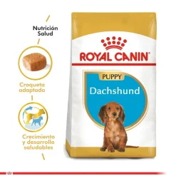 Royal Canin Específicos Para Razas^Dachshund Teckel Junior 2.5kg