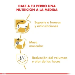 Royal Canin Específicos Para Razas^Dachshund Teckel 7.5kg