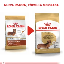 Royal Canin Específicos Para Razas^Dachshund Teckel 7.5kg