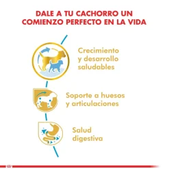 Royal Canin Específicos Para Razas^Dachshund Teckel Junior 2.5kg
