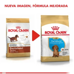 Royal Canin Específicos Para Razas^Dachshund Teckel Junior 3kg