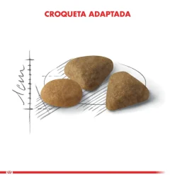 Royal Canin Adultos (1 A 7 Años)^Exigent 1.5kg
