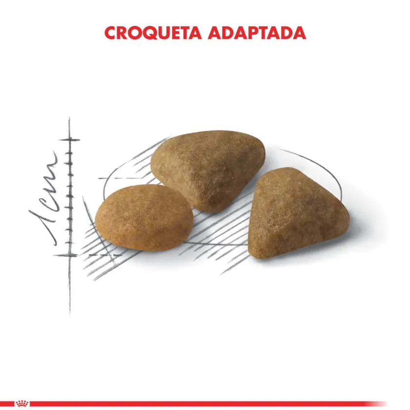Royal Canin Adultos (1 A 7 Años)^Exigent 1.5kg