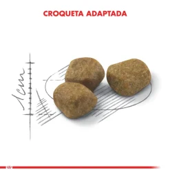 Royal Canin Adultos (1 A 7 Años)^Fit 32 1.5kg