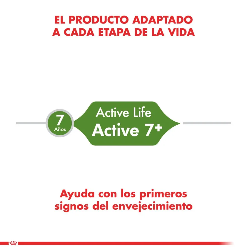 Royal Canin Senior (+7 Años)^Gato Active 7+ 1.5kg