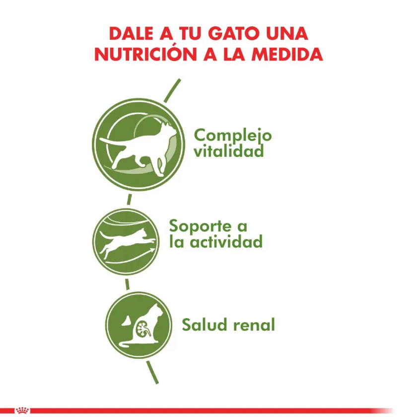 Royal Canin Senior (+7 Años)^Gato Active 7+ 1.5kg