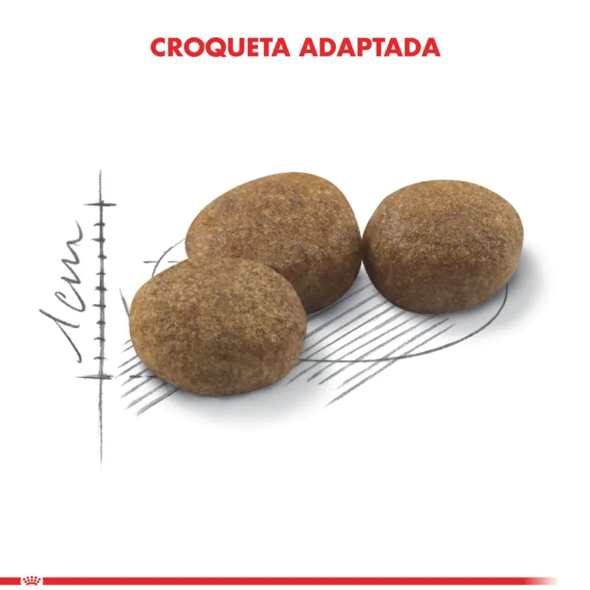Royal Canin Castrados | Adultos (1 A 7 Años)^Gato Adult Sterilised 1.5kg