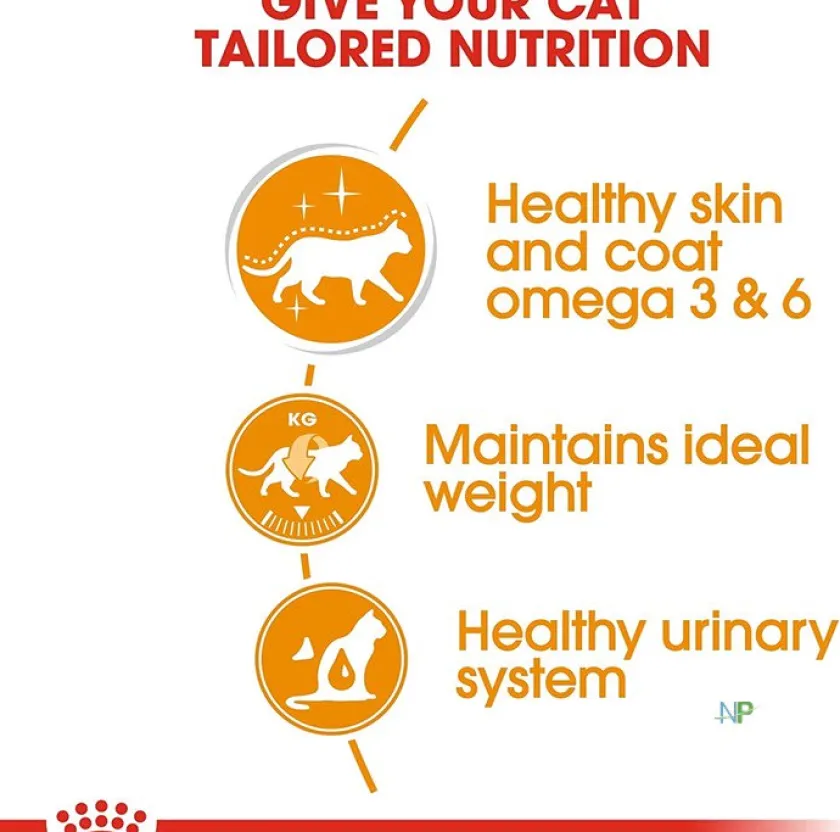 Royal Canin Húmedos^Gato Adulto Hair & Skin (INTENSE BEAUTY)