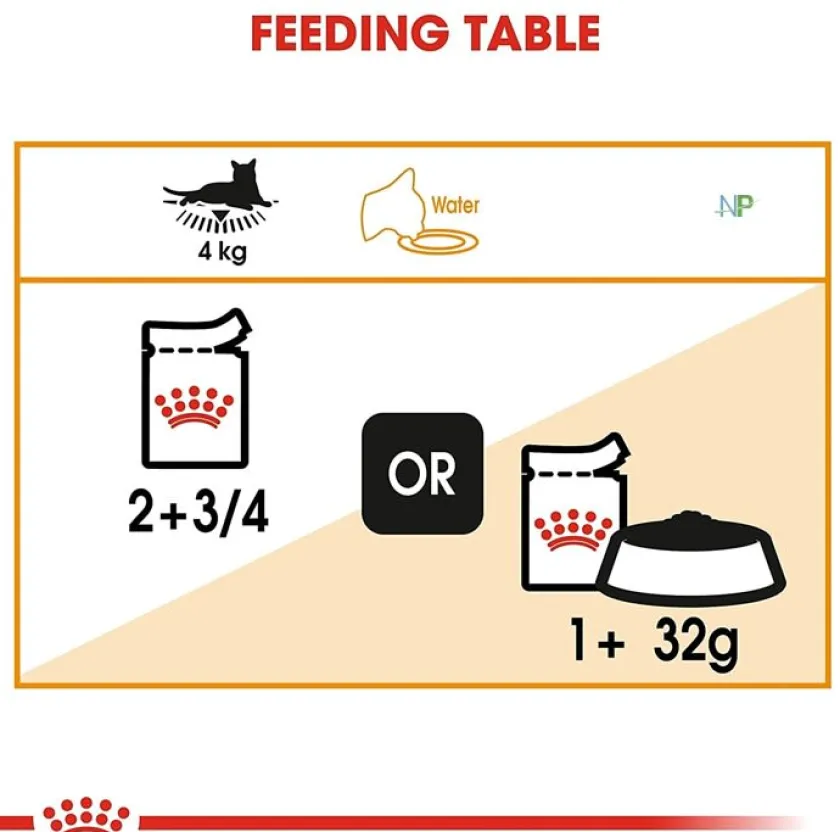 Royal Canin Húmedos^Gato Adulto Hair & Skin (INTENSE BEAUTY)