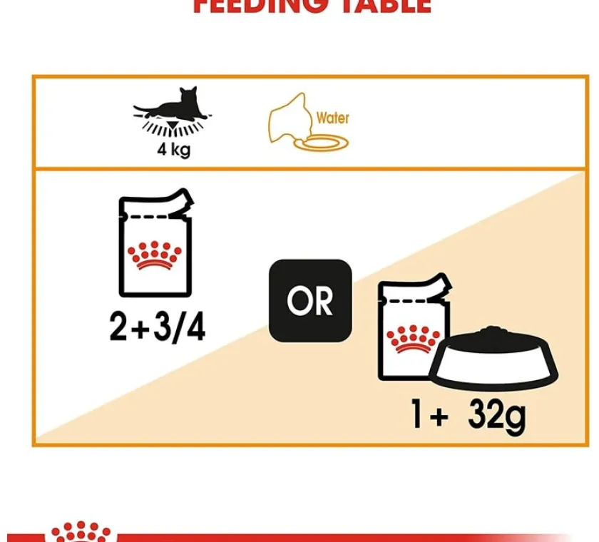 Royal Canin Húmedos^Gato Adulto Hair & Skin (Intense Beauty) Pouch 85gr x 12 unidades