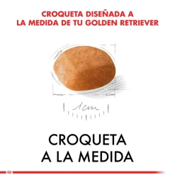 Royal Canin Específicos Para Razas^Golden Retriever Junior 12kg