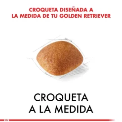 Royal Canin Específicos Para Razas^Golden Retriever Adulto 12kg