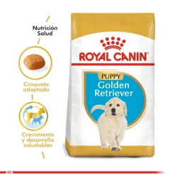 Royal Canin Específicos Para Razas^Golden Retriever Junior 12kg