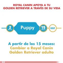 Royal Canin Específicos Para Razas^Golden Retriever Junior 12kg