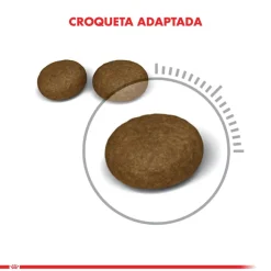 Royal Canin Adultos (1 A 7 Años)^Hair And Skin 1.5kg