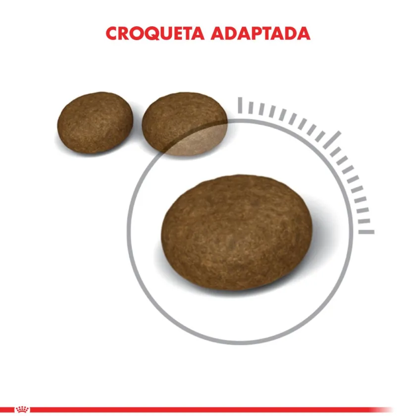Royal Canin Adultos (1 A 7 Años)^Hair And Skin 1.5kg