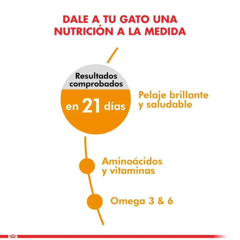 Royal Canin Adultos (1 A 7 Años)^Hair And Skin 1.5kg
