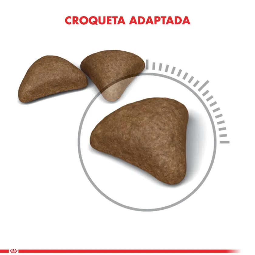 Royal Canin Adultos (1 A 7 Años)^Hairball 1.5kg