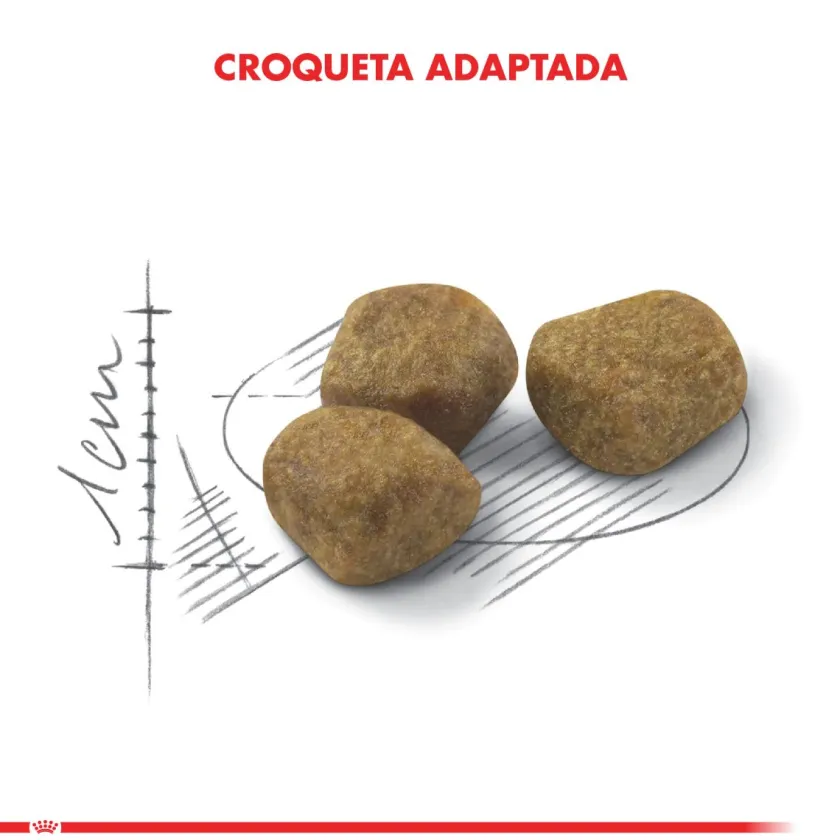 Royal Canin Senior (+7 Años)^Indoor 7+ 1.5kg