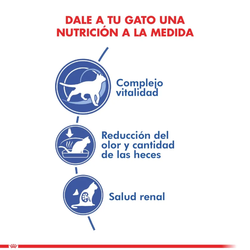 Royal Canin Senior (+7 Años)^Indoor 7+ 1.5kg