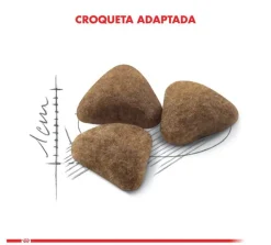 Royal Canin Adultos (1 A 7 Años)^Indoor 10kg