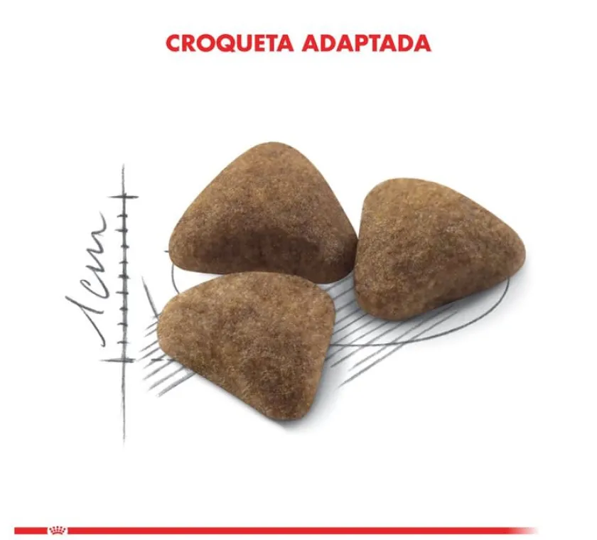 Royal Canin Adultos (1 A 7 Años)^Indoor 10kg