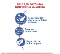 Royal Canin Adultos (1 A 7 Años)^Indoor 10kg