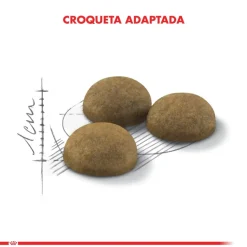Royal Canin Adultos (1 A 7 Años)^Indoor Long Hair 2kg