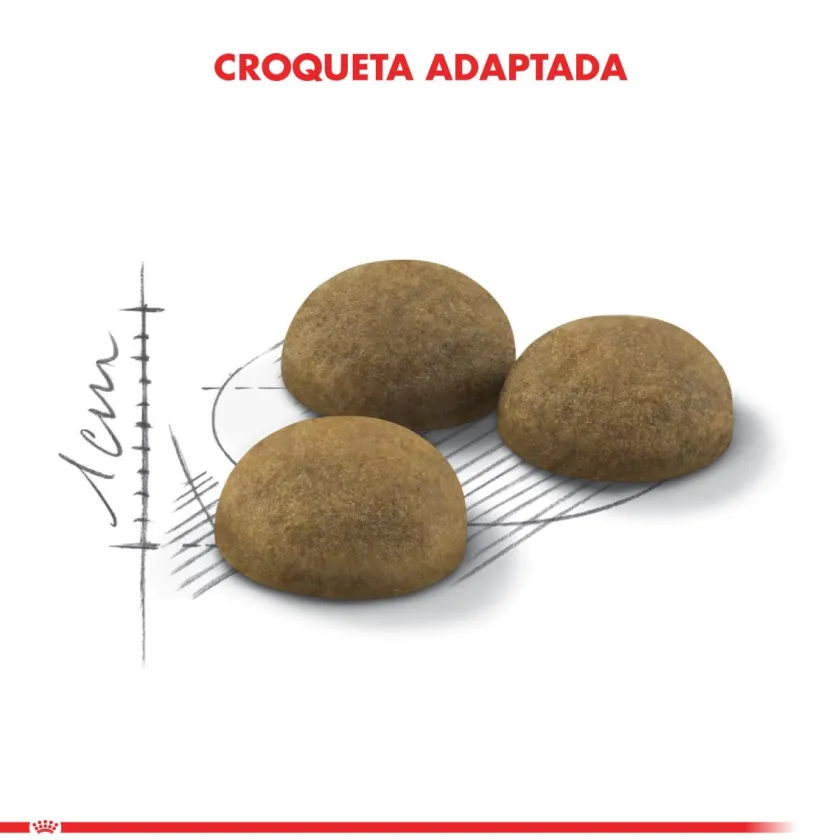 Royal Canin Adultos (1 A 7 Años)^Indoor Long Hair 2kg