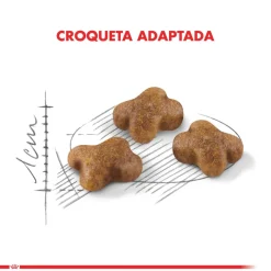 Royal Canin Gatitos (0 A 12 Meses)^Kitten 1.5kg