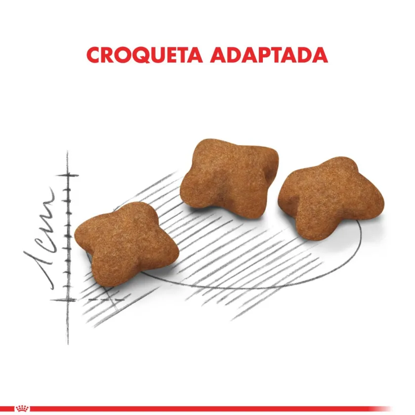 Royal Canin Castrados | Gatitos (0 A 12 Meses)^Kitten Sterilised 1.5kg