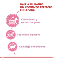 Royal Canin Castrados | Gatitos (0 A 12 Meses)^Kitten Sterilised 4kg