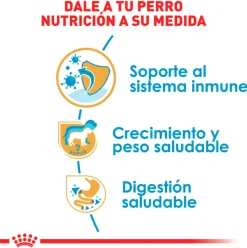 Royal Canin Específicos Para Razas^Labrador Retriever Junior 12kg