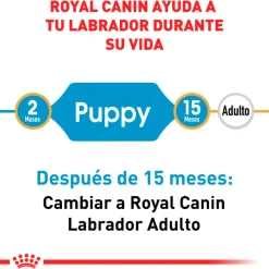 Royal Canin Específicos Para Razas^Labrador Retriever Junior 12kg