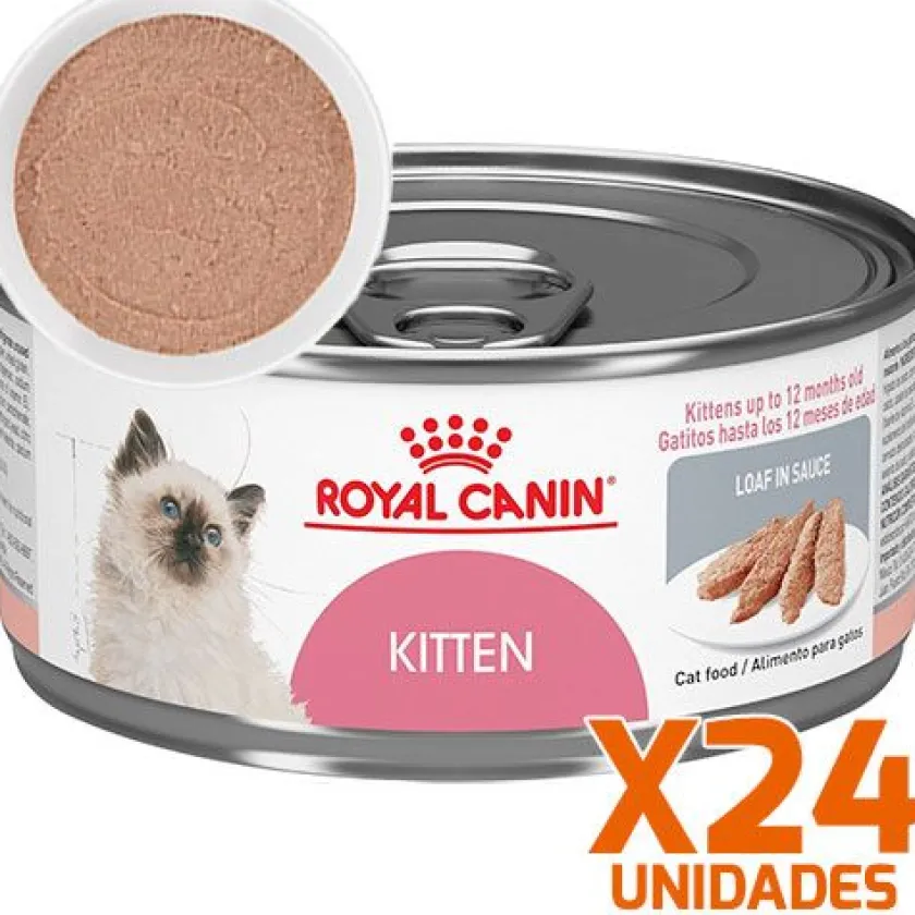Royal Canin Húmedos^Latas Gatito Kitten Pate Pack 24 Unidades