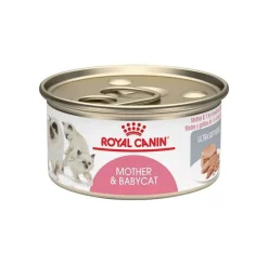 Royal Canin Húmedos^Latas Gatito Mother BabyCat 145gr
