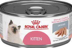 Royal Canin Húmedos^Latas Gatito Kitten Pate Pack 12 Unidades